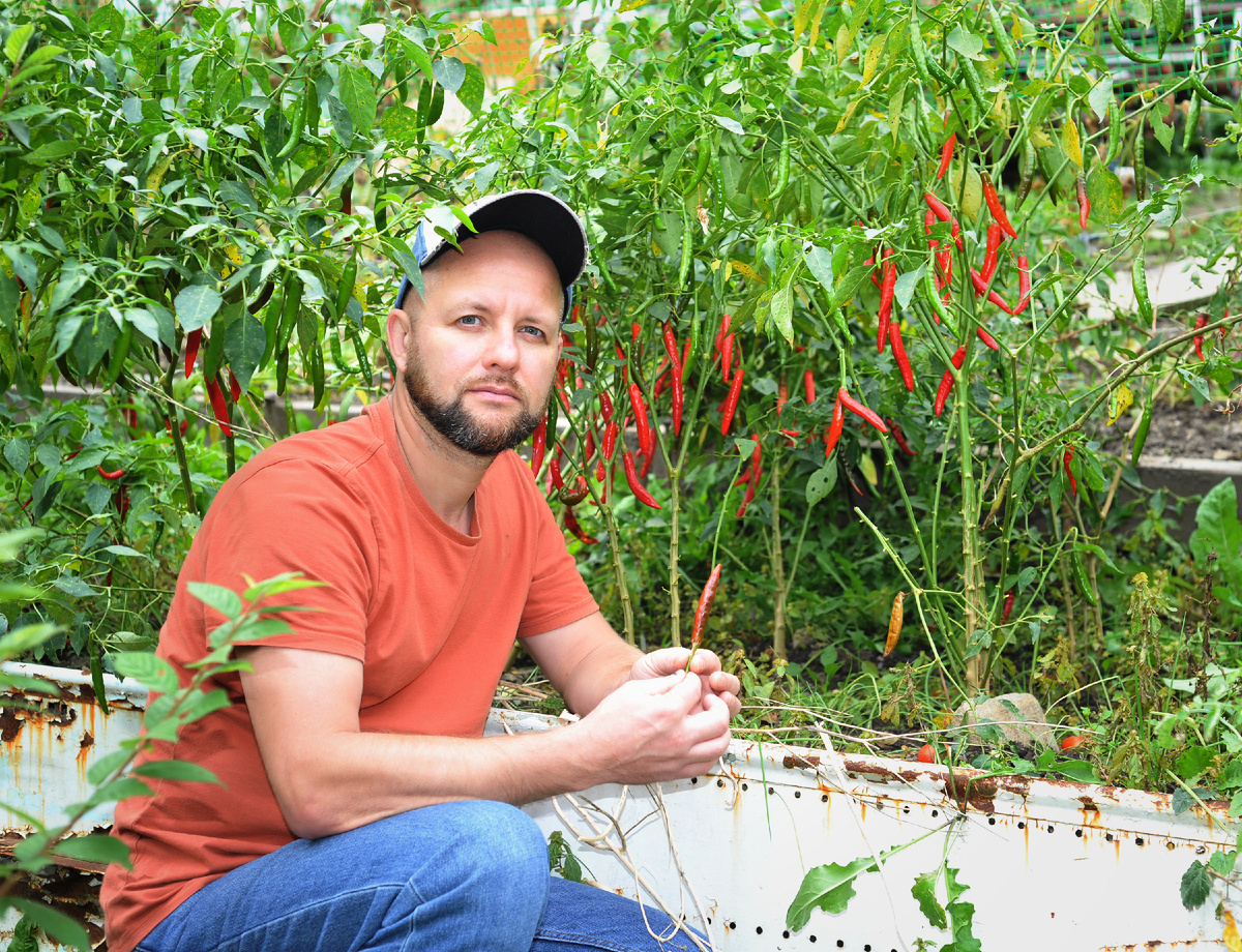 Перец в перцах