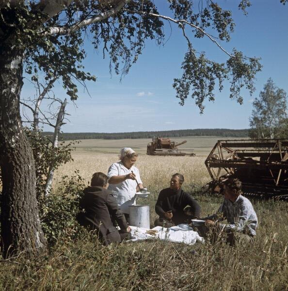 Фото взято из открытых источников. 