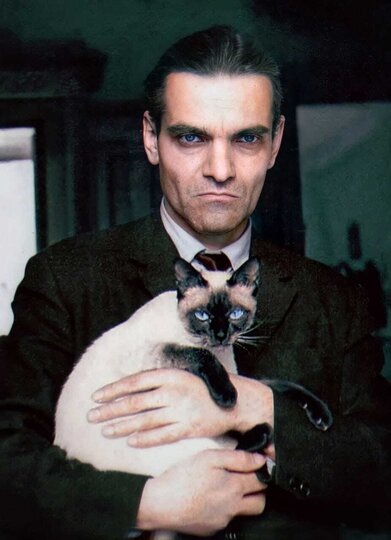    Юрий Кнорозов обожал кошек и подкармливал животных во дворе.предоставлено Анной Масловой