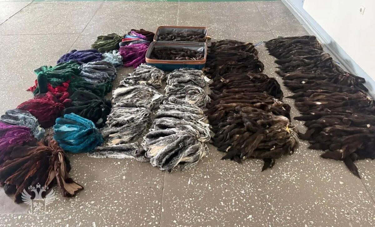     © Хабаровская таможня. Елена Попова