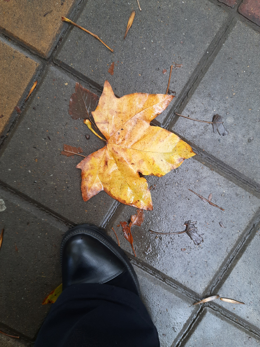 Из личных архивов