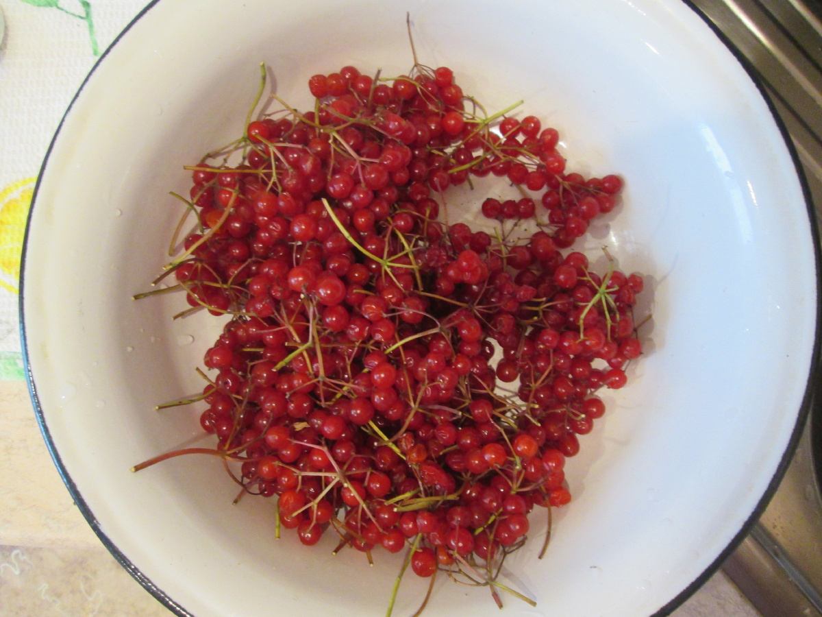 личный архив