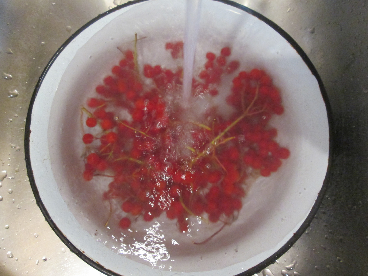 личный архив