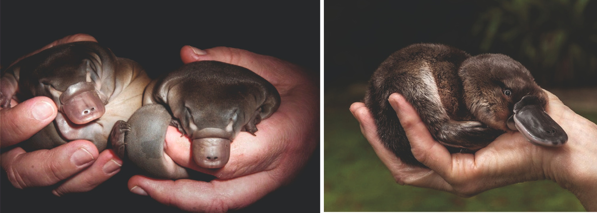 фото из интернета