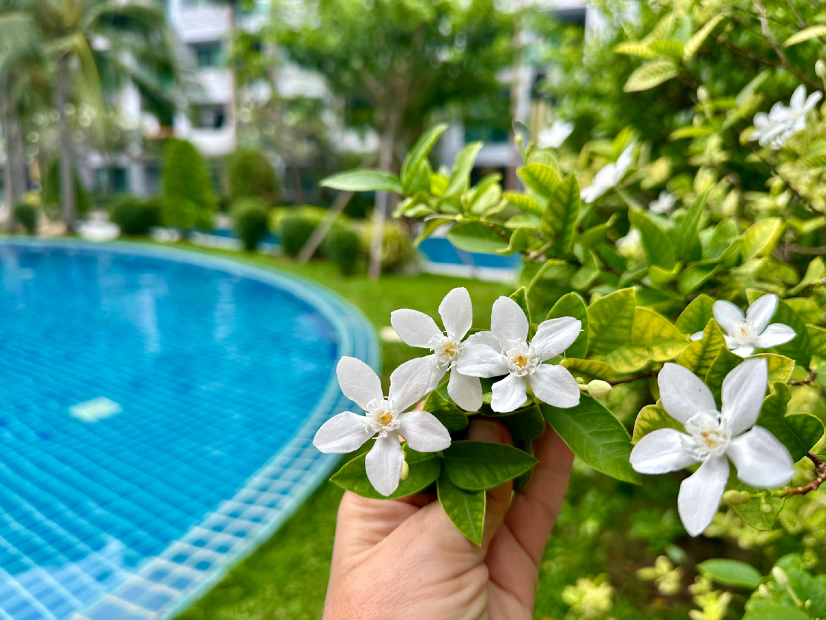 Бассейн в Dusit Grand Park в Паттайе.