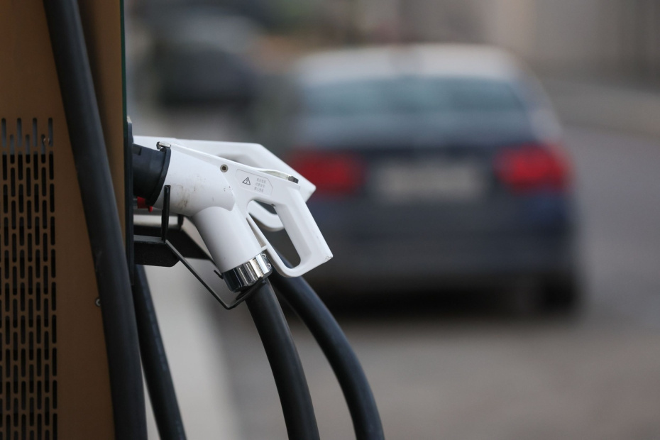    Алексей Белкин/NEWS.ru