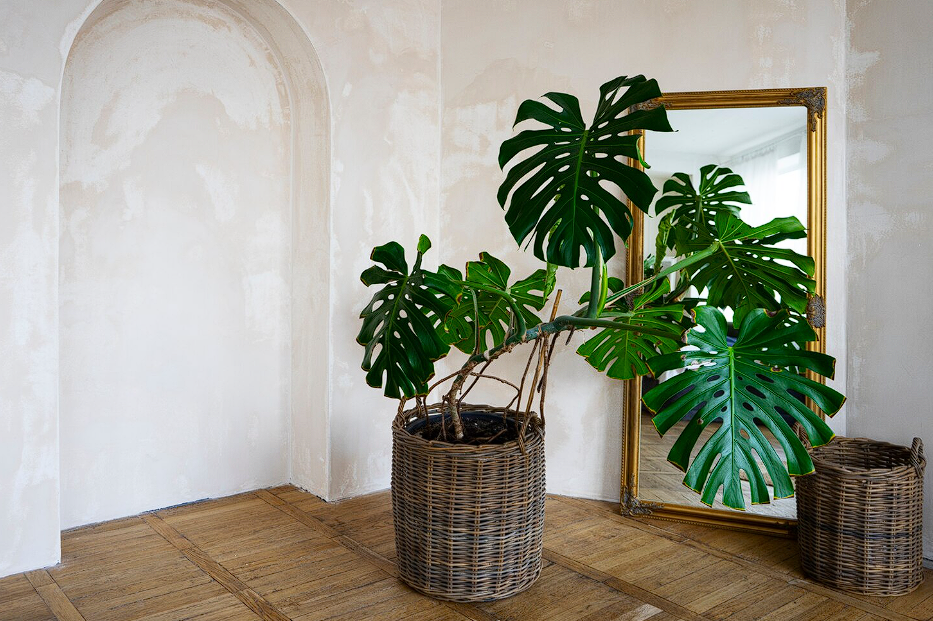 Ремонт квартир и домов в Питере | Ремонт СПБ | remont.spb.ru