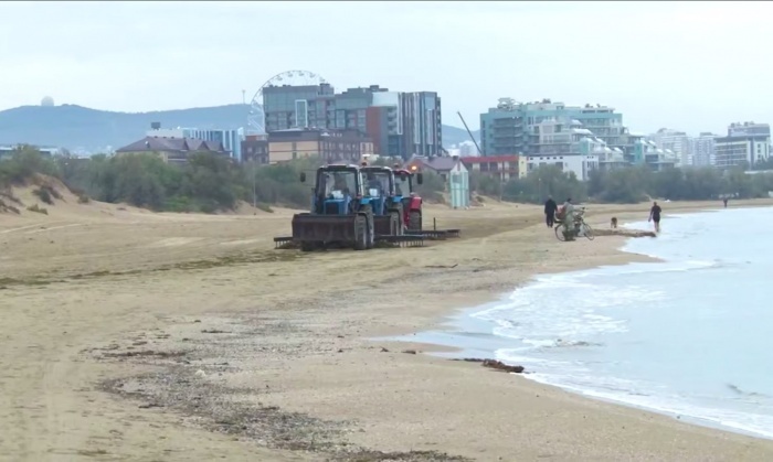    оперативный штаб Краснодарского края