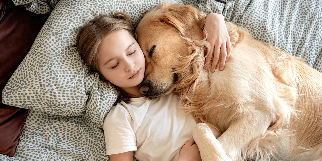 Можно ли пускать собаку на кровать? Обсуждаем дилемму «собачников»