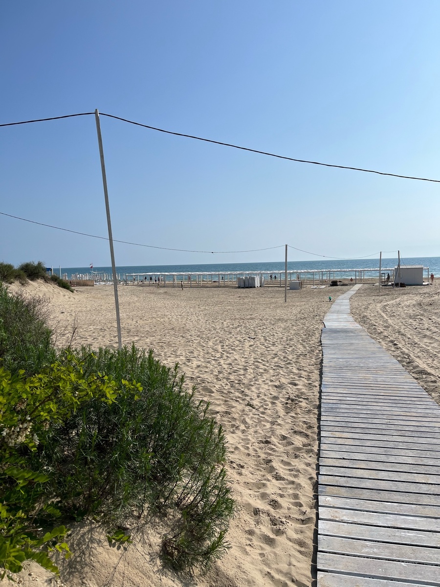    Фото: ГТРК Карелия