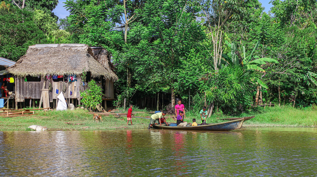     Фото: Omri Eliyahu/Shutterstock/FOTODOM В обществе племени пирахан отсутствует жесткая социальная иерархия, а одним из ключевых культурных принципов является запрет на принуждение — никто не имеет права указывать другим, что делать