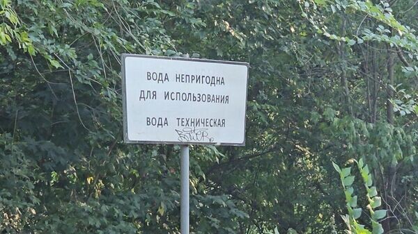    © Фото : Роман Гнатюк