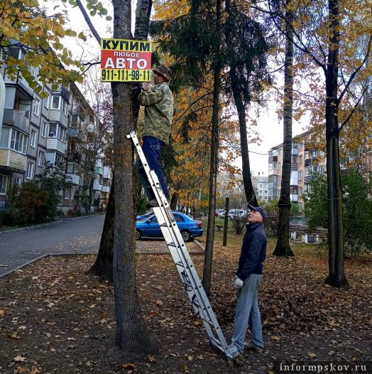 Фото: контрольное управление администрации Пскова