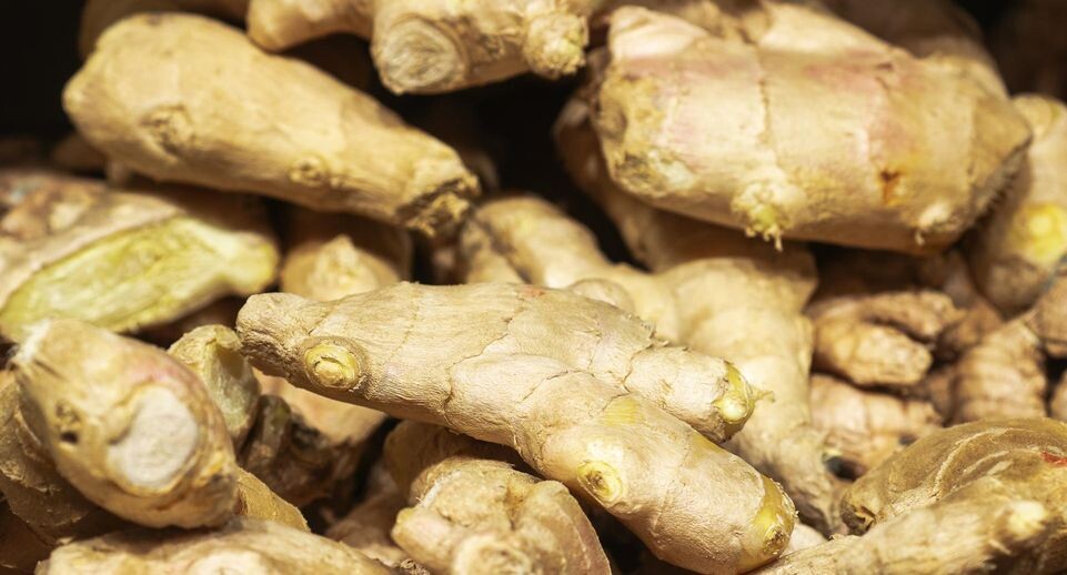    Bulkin Sergey/news.ru / www.globallookpress.com