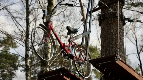 Парк Пехорка в Балашихе один самых масштабных в Московской области