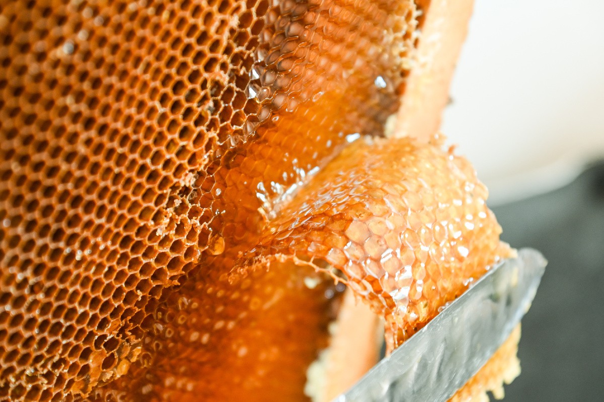 Игорь Онучин / ТАСС