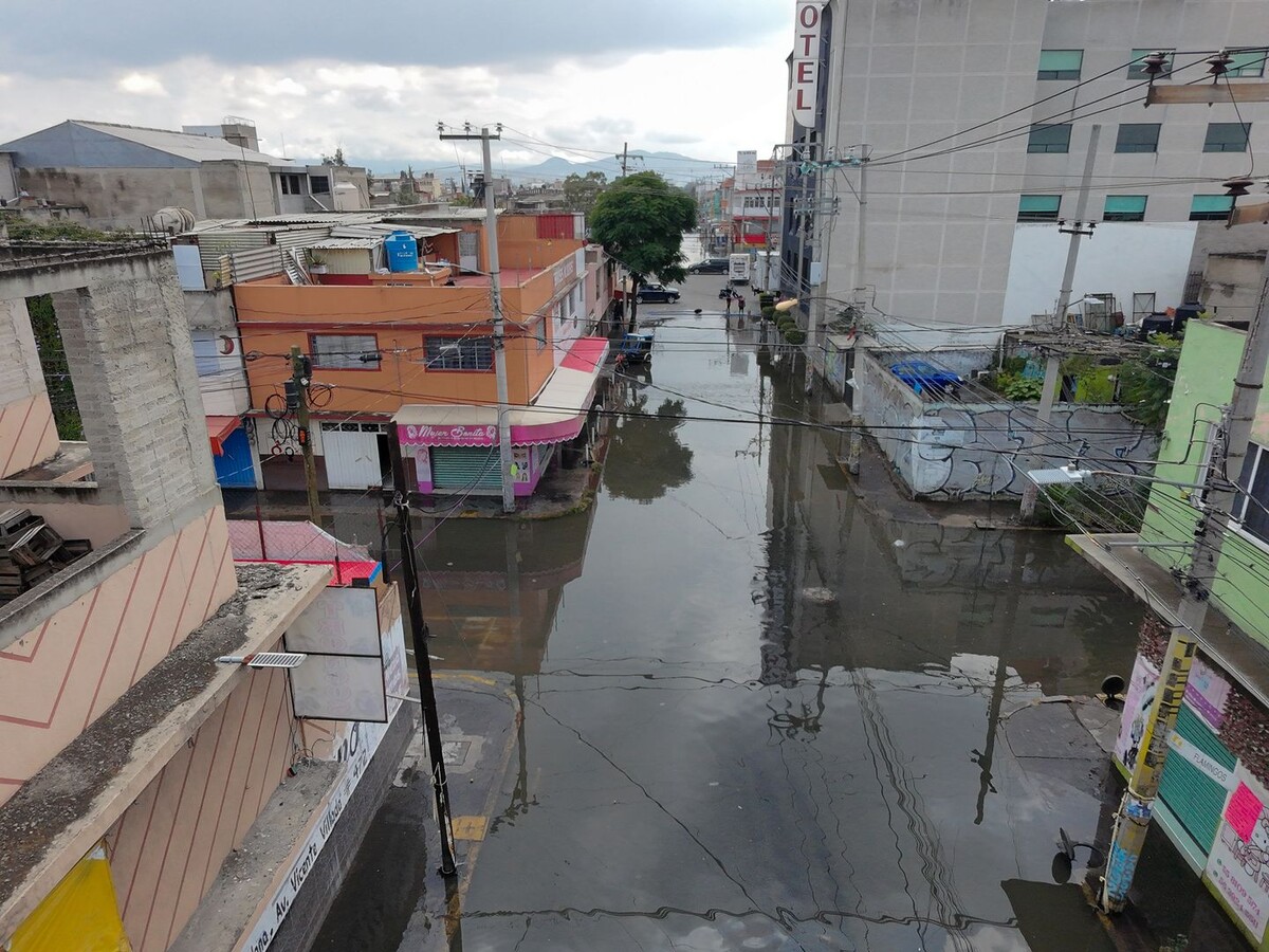     / Источник: © Global Look Press