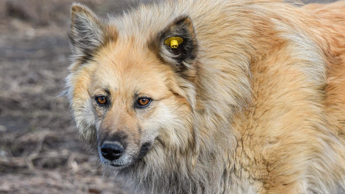    Фото: Ilya Moskovets/globallookpress.com