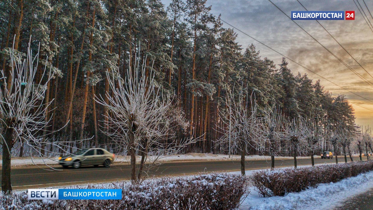    Жителей Башкортостана предупредили о гололедице и тумане