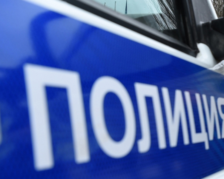     Курянин стал жертвой мошенников при покупке зимних шин