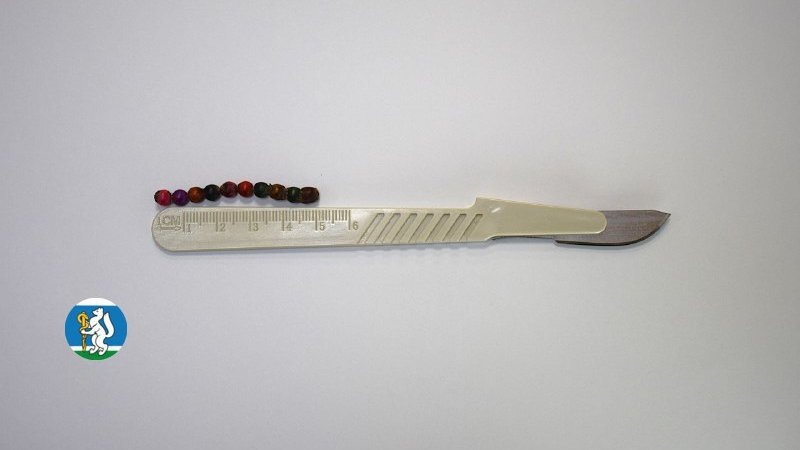    Фото: минздрав Свердловской области