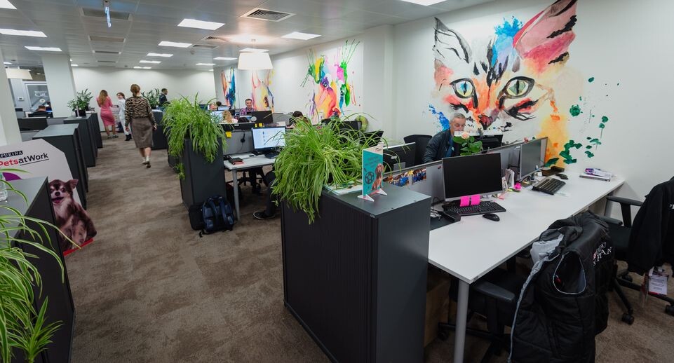    Медиасток.рф