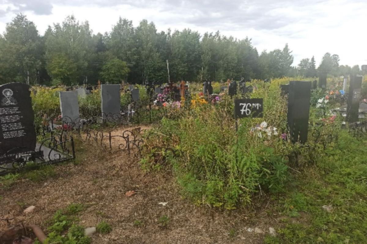    Фото: новостной портал г. Иванова «Kстати.News», источник: kstati.news