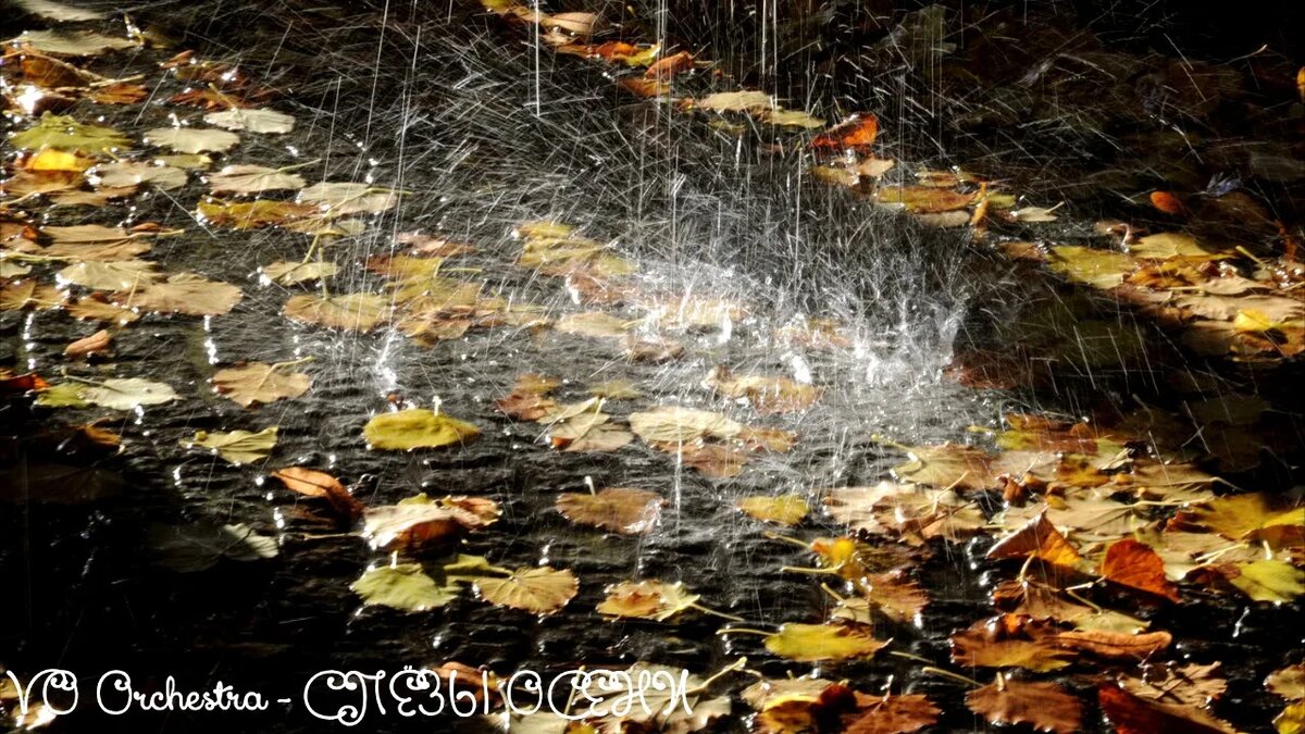 картинка из интернета