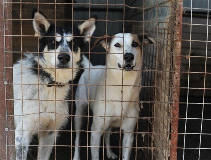    ФОТО: © РИА Новости / Алексей Сухоруков