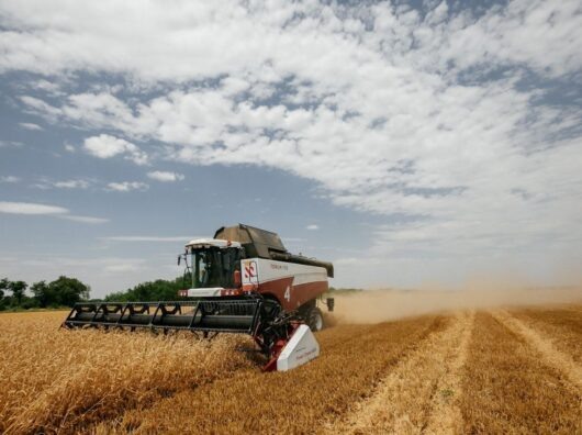    // Фото предоставлено пресс-службой Юго-Западного банка ПАО Сбербанк