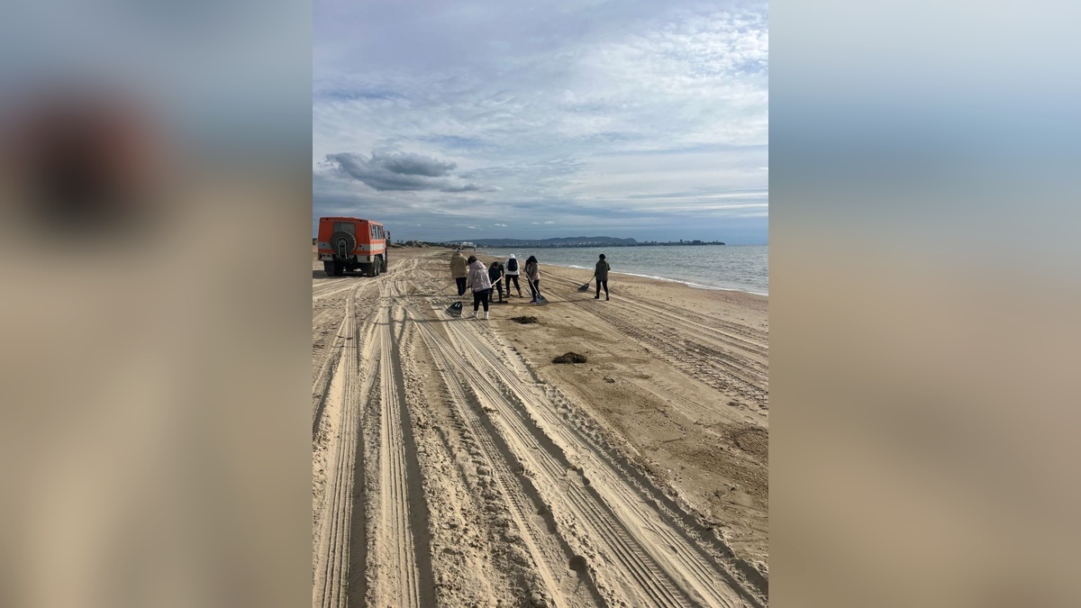    Фото t.me/opershtab23