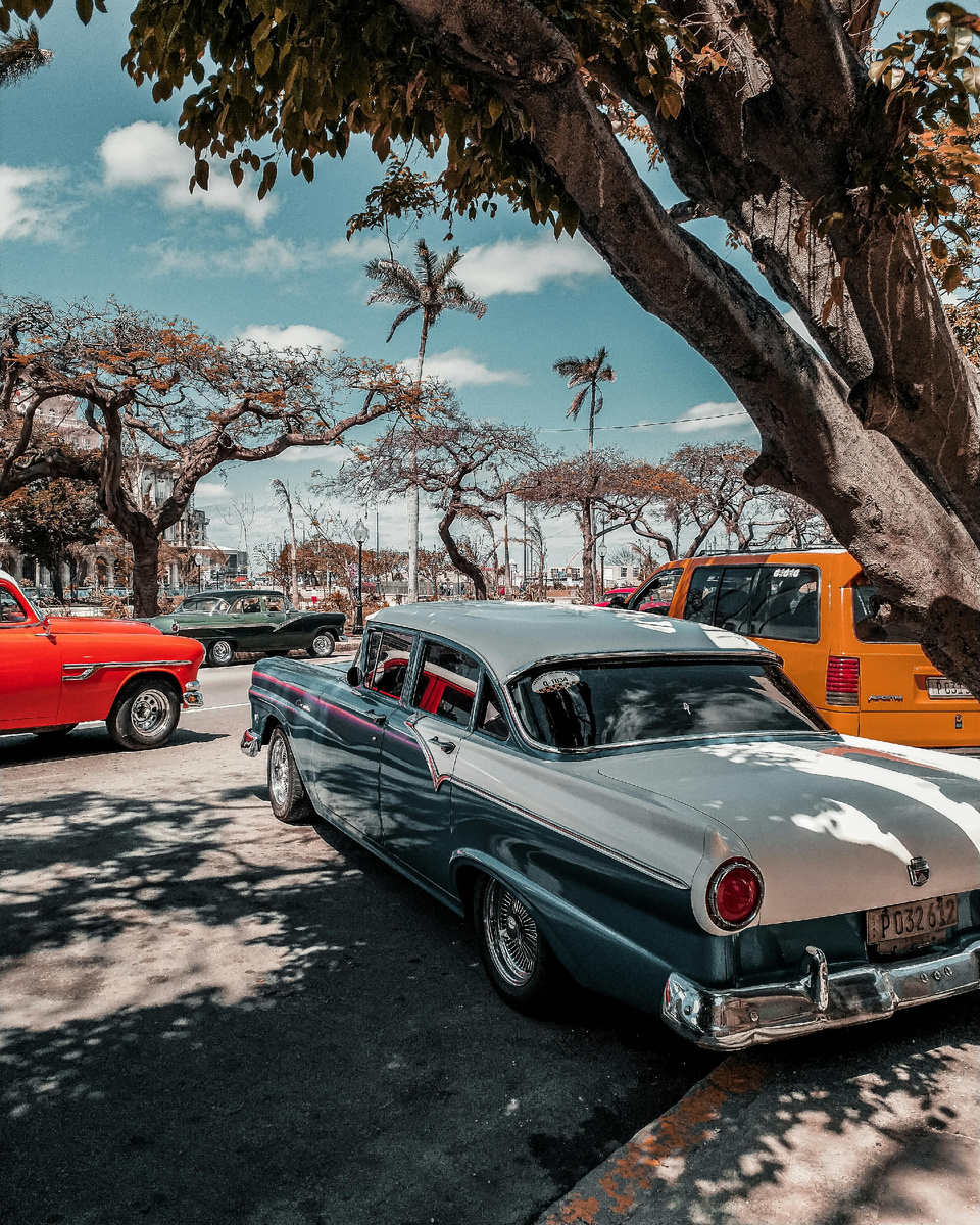 Photo by Aleks Magnusson: https://www.pexels.com/photo/vehicle-parked-under-tree-3441201/