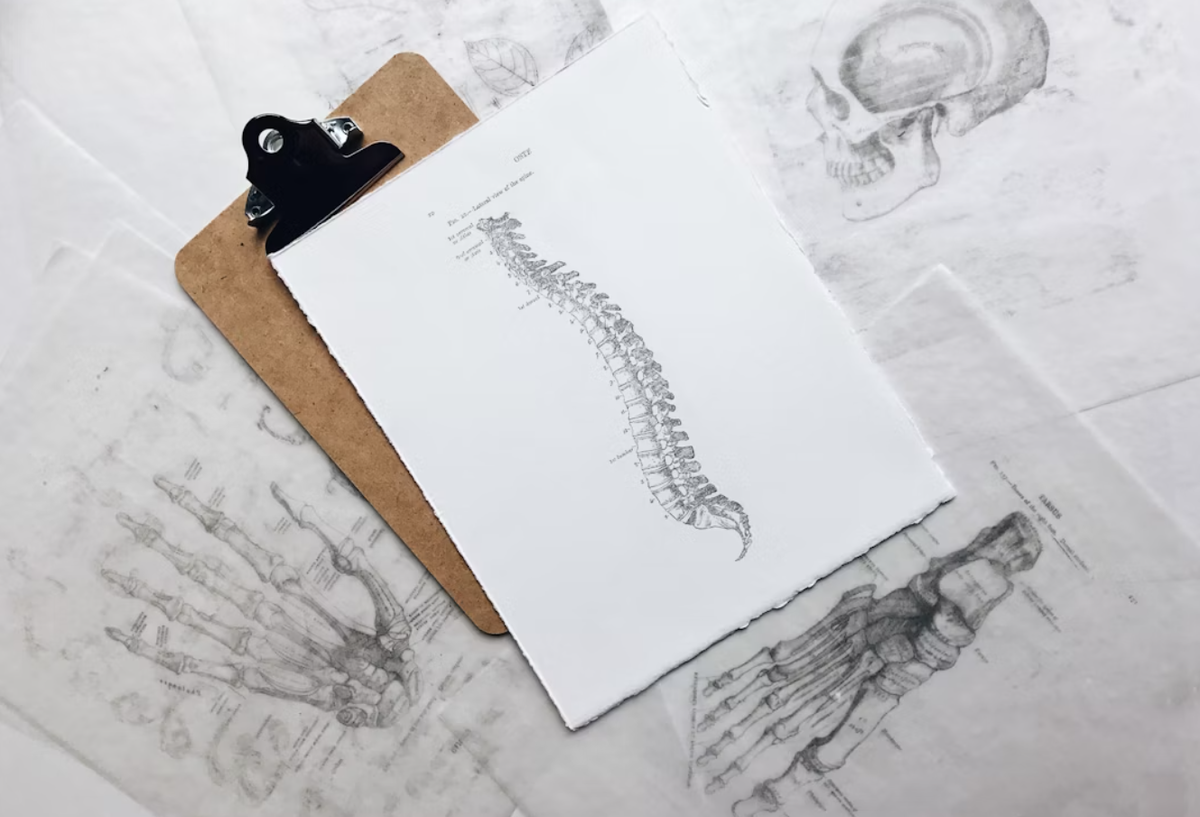      None фото: Unsplash.com/ Joyce Hankins