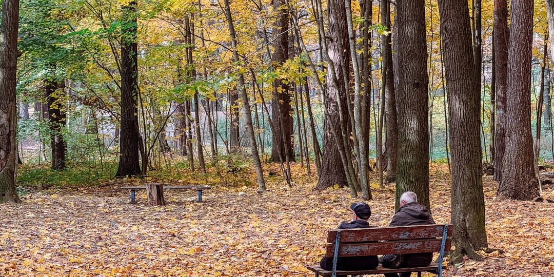 11 регионов России, где хорошо жить после 50 лет