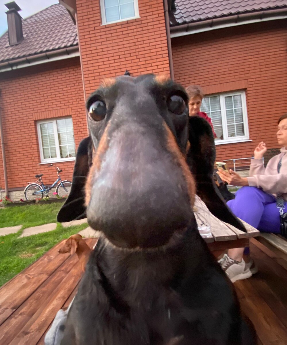 Шиша, как всегда, в афише...