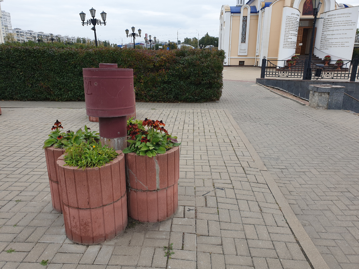 Цветочные осенние композиции возле Белгородского государственного научно-исследовательского университета. Рядом находится река Везелка и набережная. 