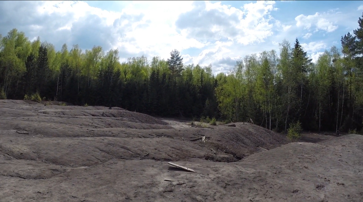 Фото 2015 года