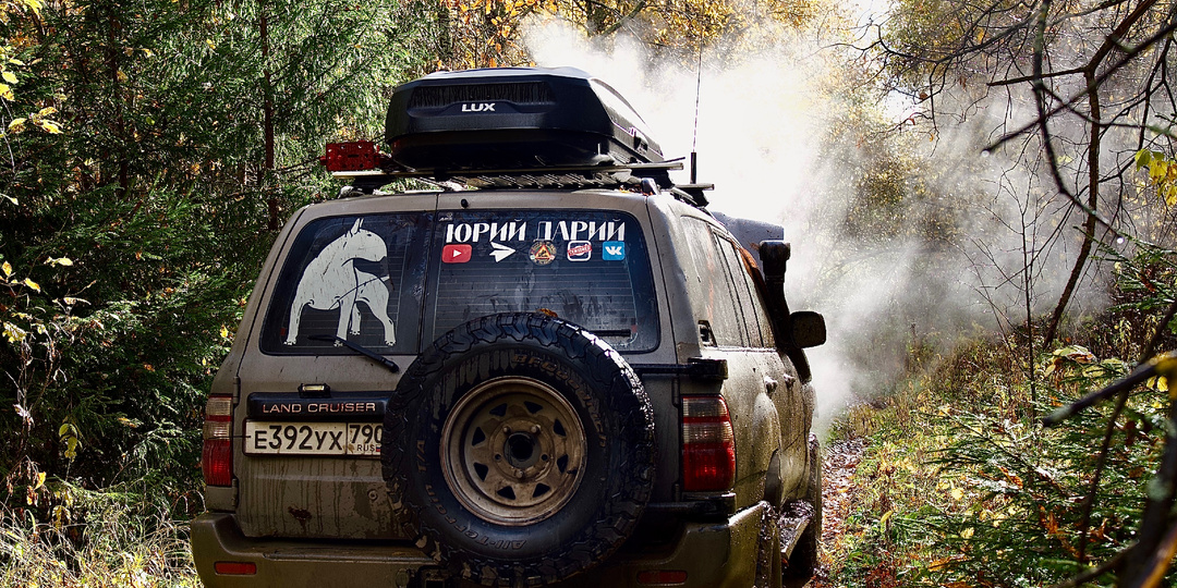 Клад СССР: где во Владимирских лесах лежат миллиарды советских рублей