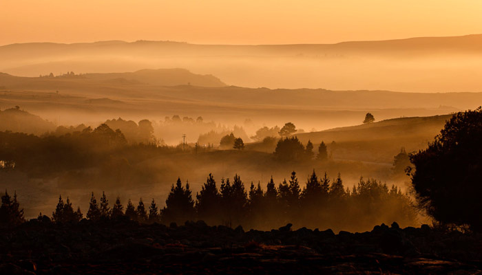 17 октября наступает Ерофей Лешегон, когда не то что в лес идти, а вообще из дома высовываться не стоит. Фото: pxhere.com