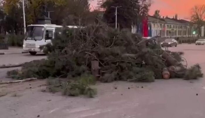 Иллюстрация: Соцсети/скриншот с видео