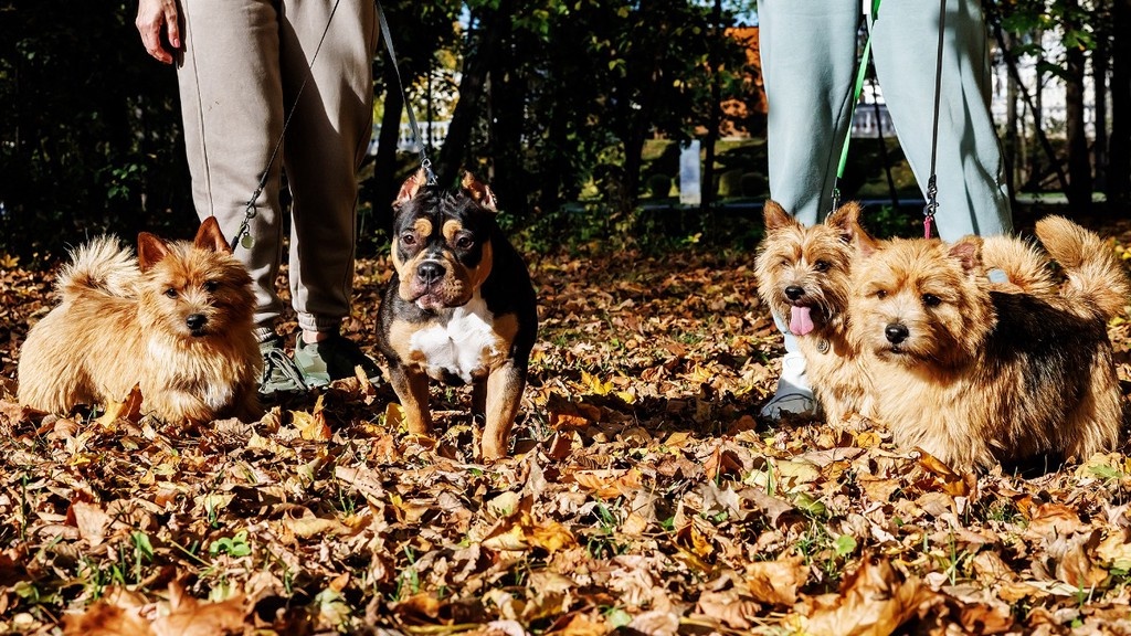    Фото © Дмитрий Дубинский / Абзац