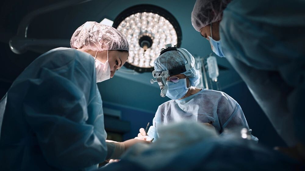    Фото: Gerain0812/Shutterstock/Fotodom