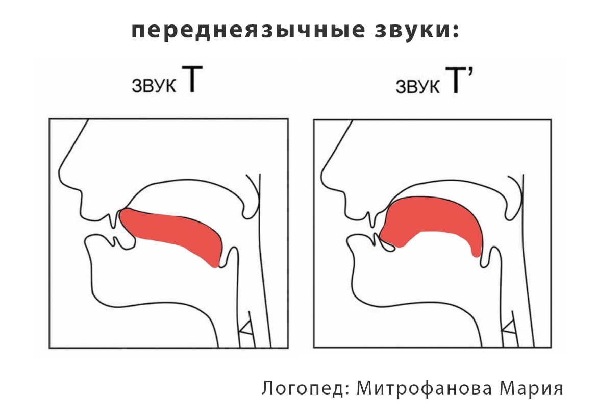Изображение автора статьи 
