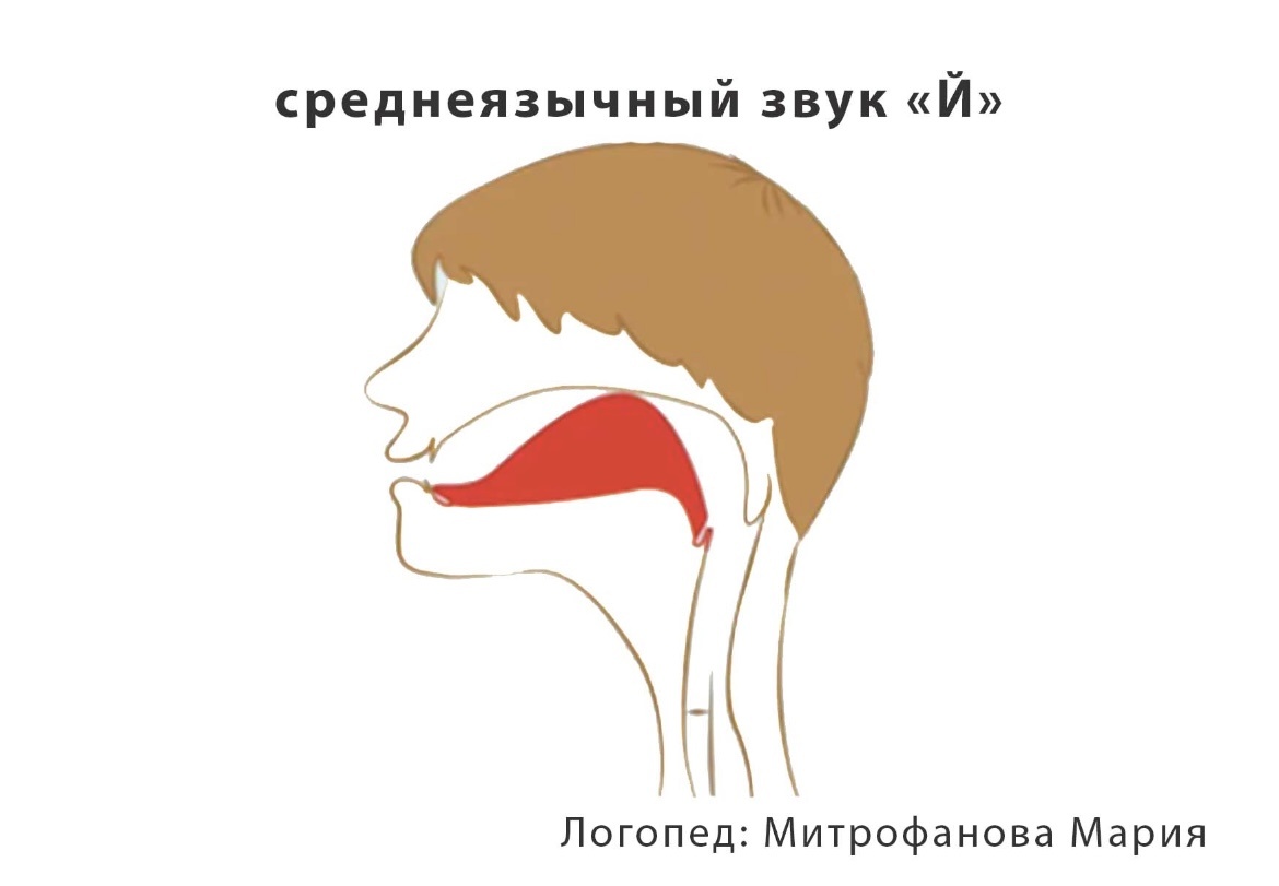 Изображение автора статьи 