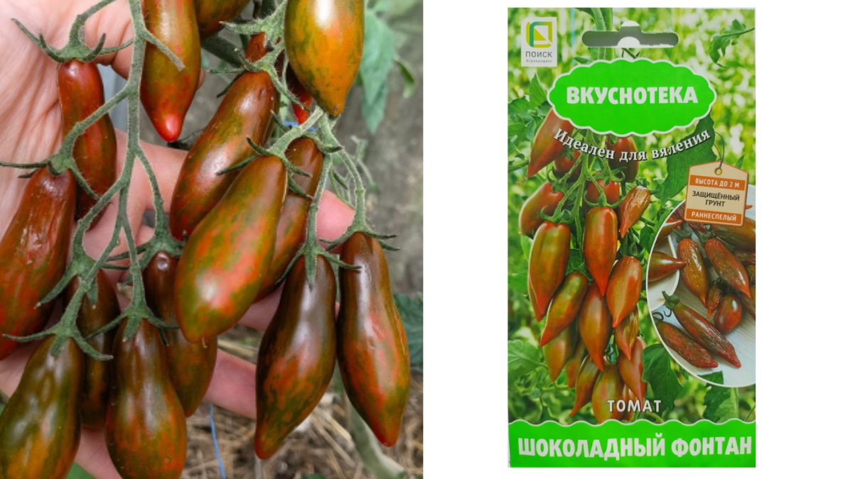 Фото с моего сайта valesad.ru