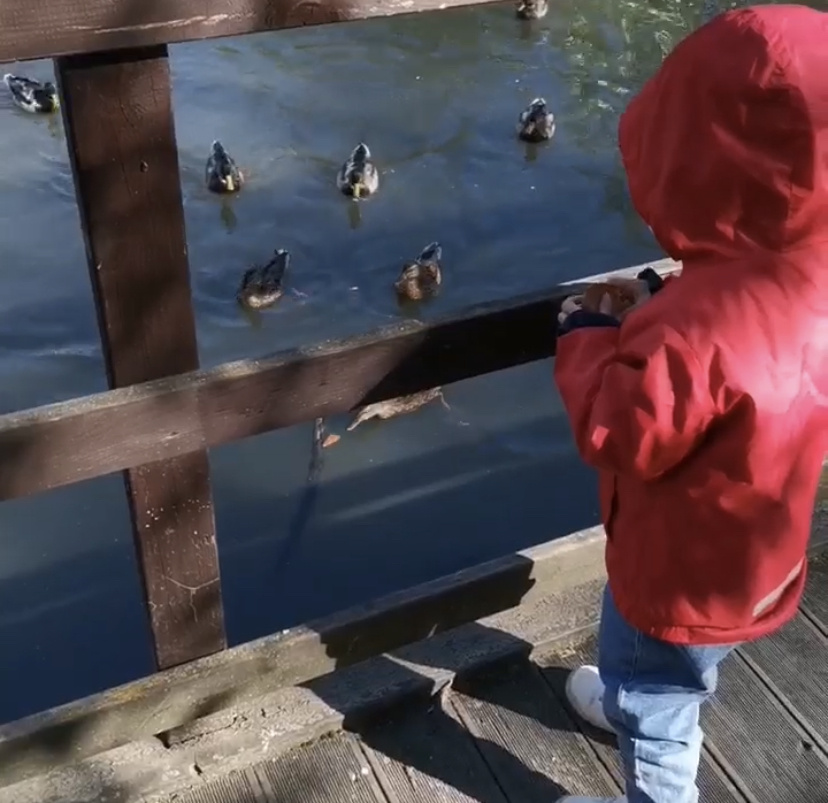 Сане очень даже нравится местная экология👍