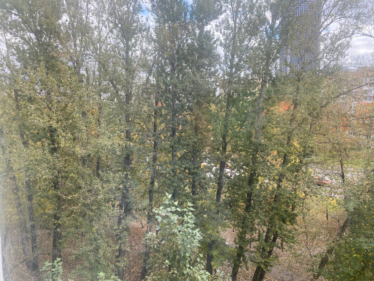 Когда шоссе прямо под боком