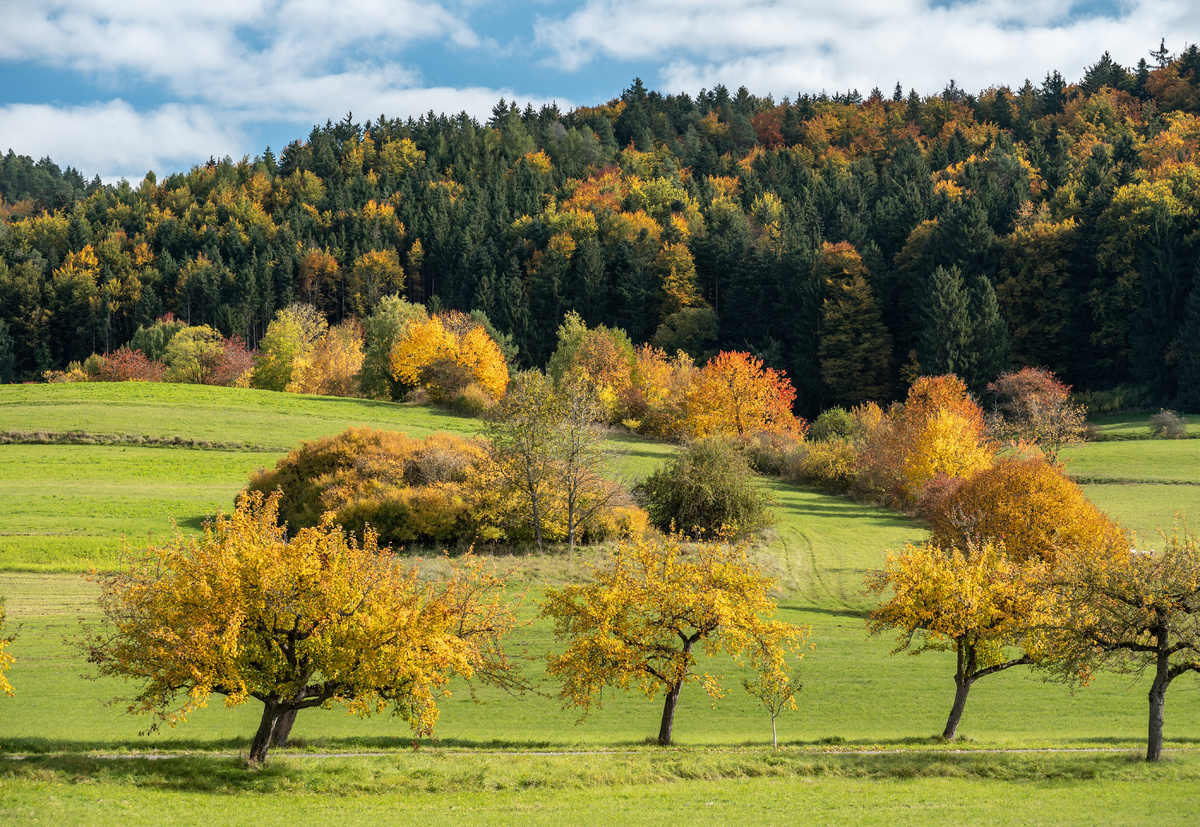 фото: Silas Stein/dpa/Global Look Press
