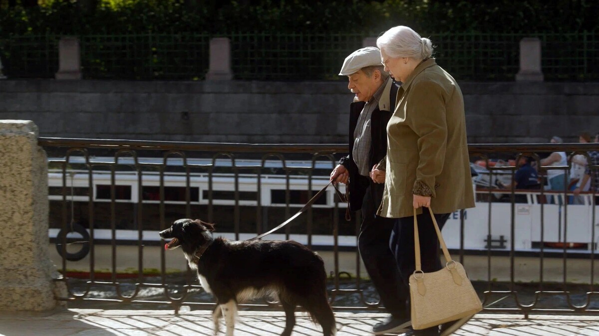    Кадр из фильма «Двое в одной жизни, не считая собаки»/«Сентябрь»/«СБ Фильм»/kinopoisk.ru