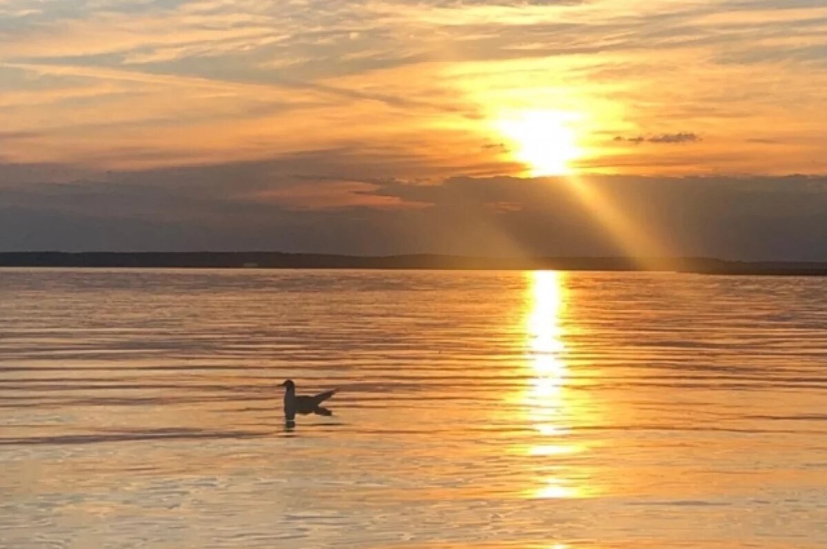    В Тверской области возле Селигера построят 4-звездочный парк-отель